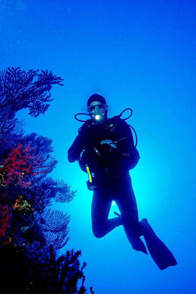 Plongeur au Cap de Nice (Gorgones bleues)
