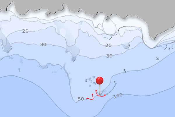 Tombant des Américains